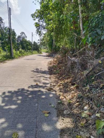 ที่ดิน 1300000 สุราษฎร์ธานี เกาะสมุย ตลิ่งงาม